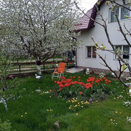 Casuta Bunicilor Dorna Cindrenilor Exterior foto