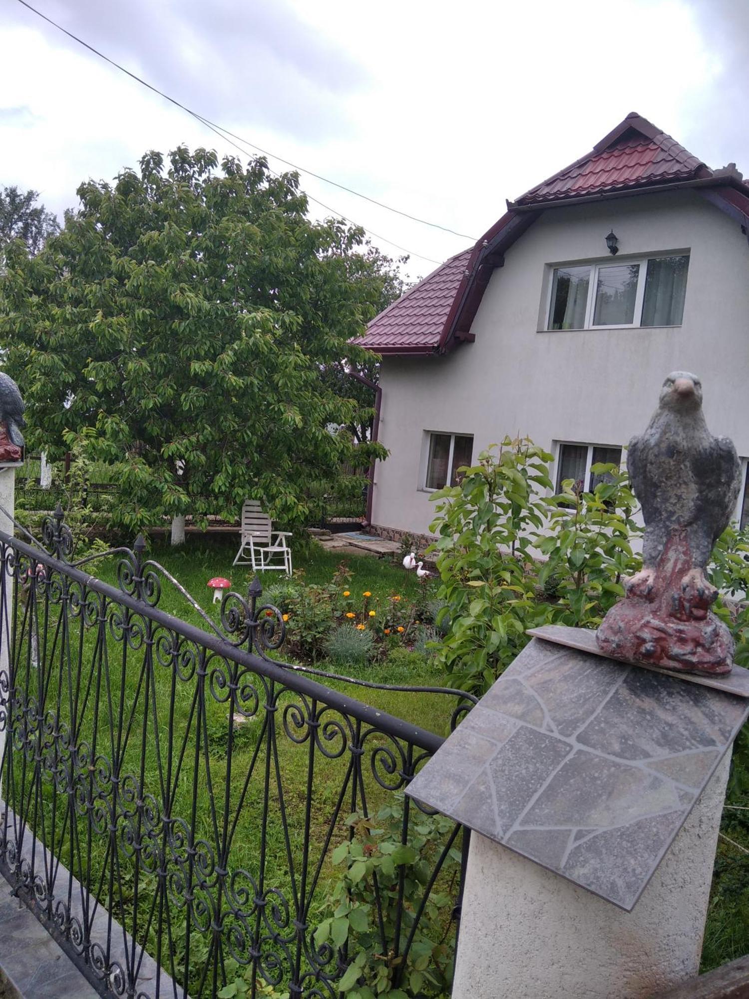 Casuta Bunicilor Dorna Cindrenilor Exterior foto