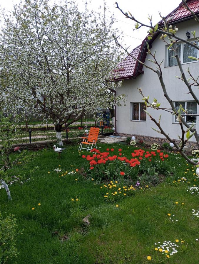 Casuta Bunicilor Dorna Cindrenilor Exterior foto