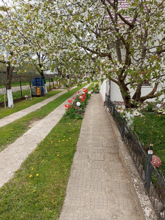 Casuta Bunicilor Dorna Cindrenilor Exterior foto