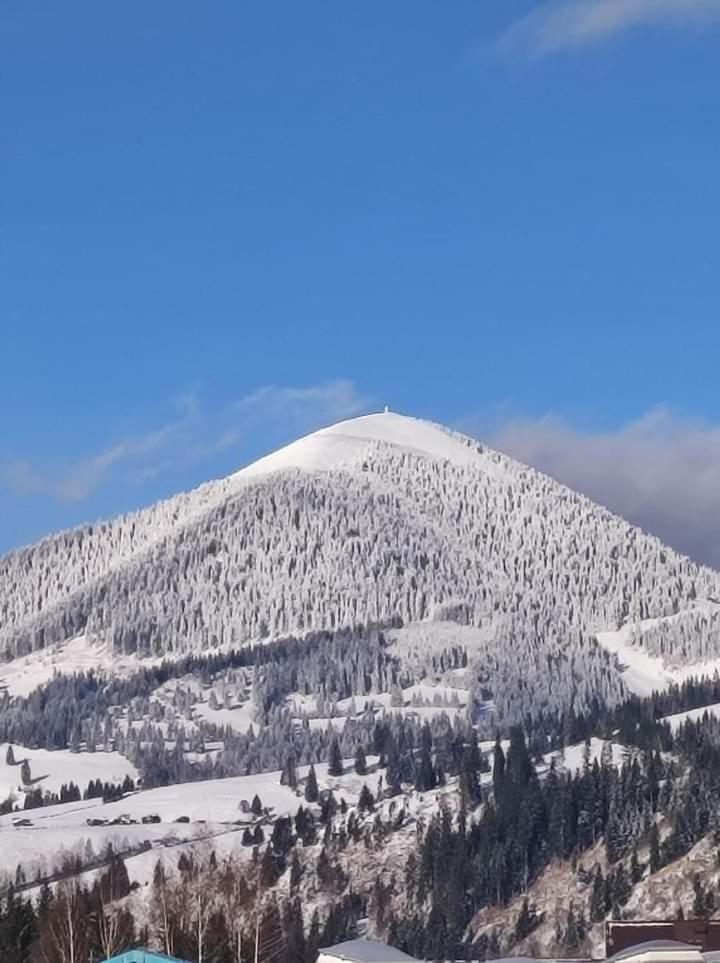 Casuta Bunicilor Dorna Cindrenilor Exterior foto